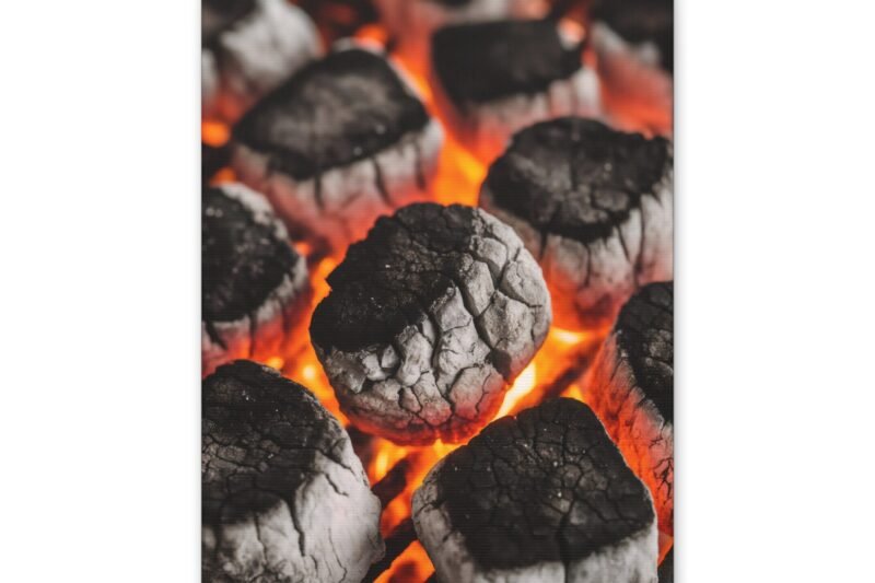 Stylish Grill Art Canvas Print - Charcoal Fire Decor