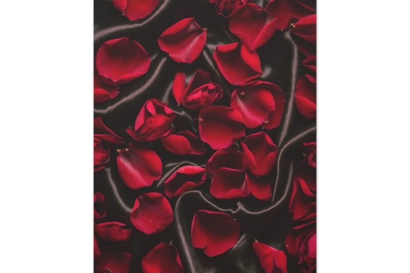 775. Velvet Rose Petals Scattered on a Dark Silk Surface