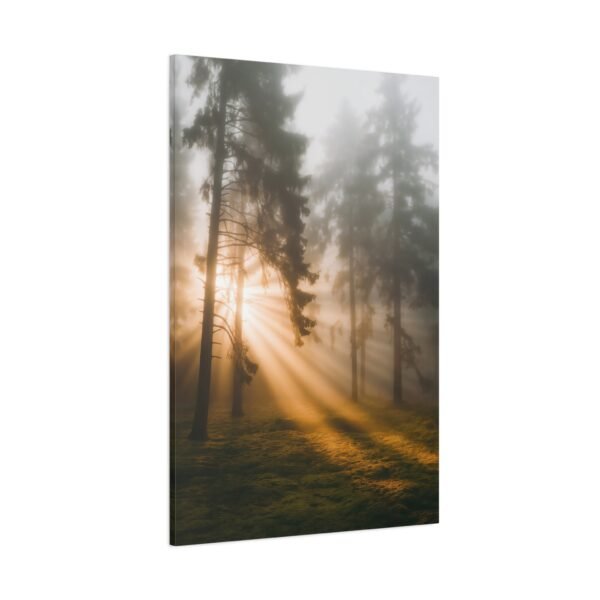786. Golden Light Through Foggy Pine Trees - Image 2