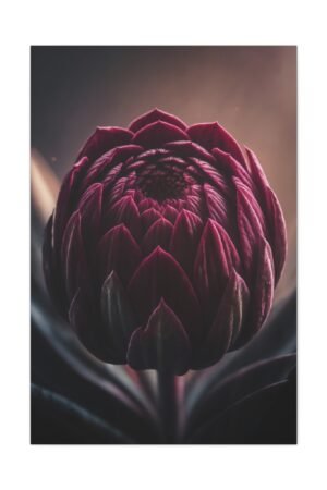843. Crimson Bloom in Velvet Shadows