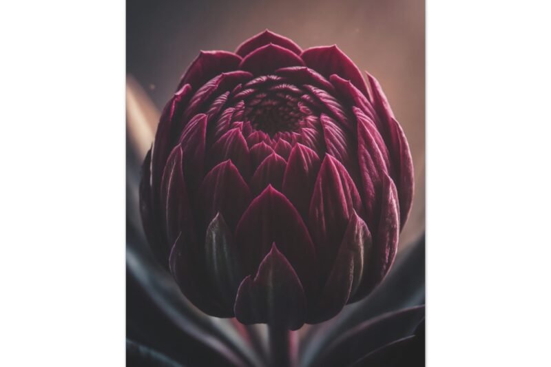 843. Crimson Bloom in Velvet Shadows