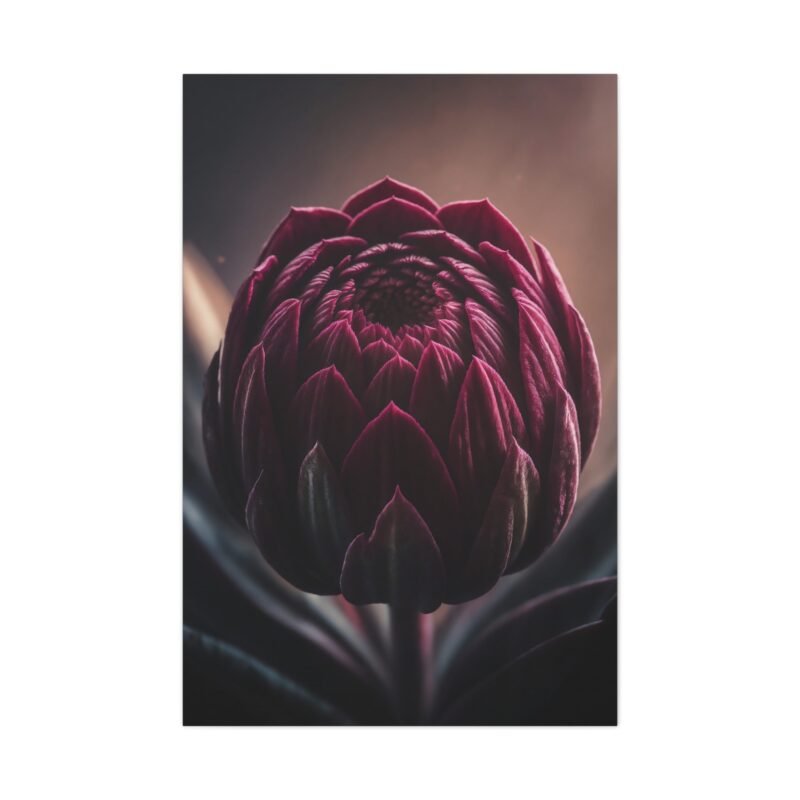 843. Crimson Bloom in Velvet Shadows