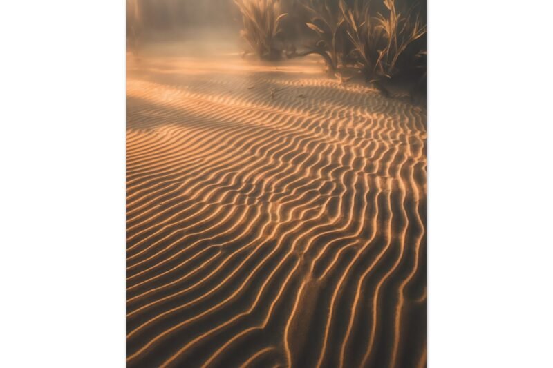 794. Sunlight on Rippled Lakebed Sand
