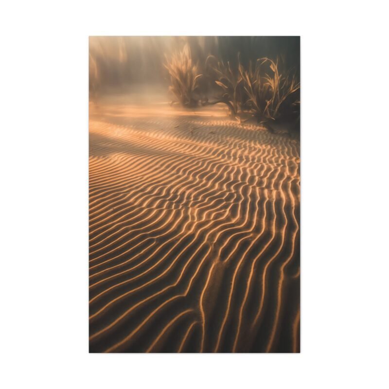 794. Sunlight on Rippled Lakebed Sand