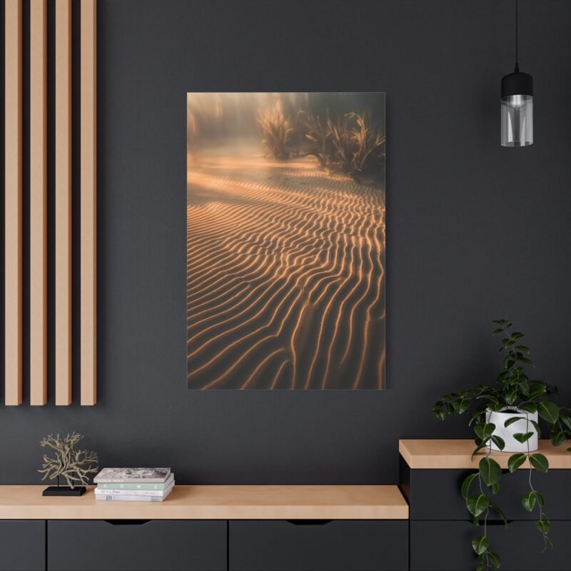 794. Sunlight on Rippled Lakebed Sand