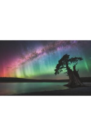 Cosmic Wall Art - Stretched Matte Canvas 1.25"