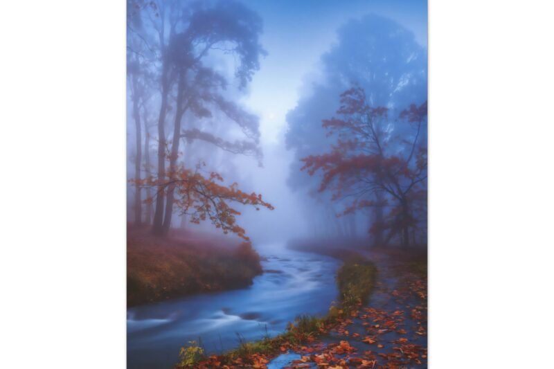 880. Autumn Mist Over a River With Fallen Leaves