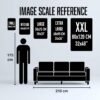 Image Scale Reference