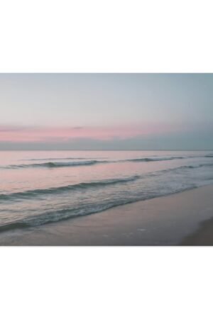 1041. Ocean of Dreams