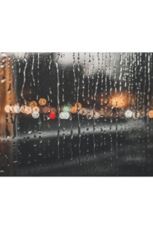 1010. Silver Rain on Glass