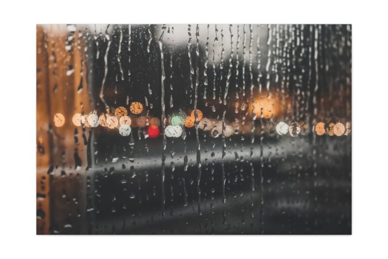 1010. Silver Rain on Glass