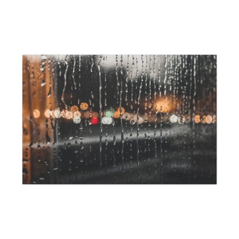 1010. Silver Rain on Glass