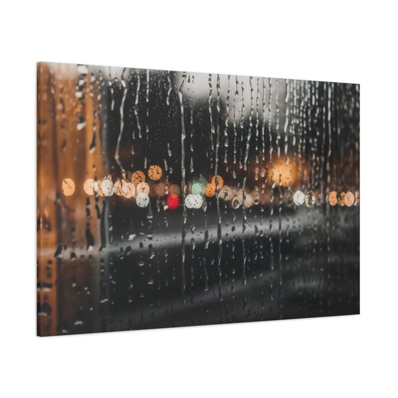 1010. Silver Rain on Glass