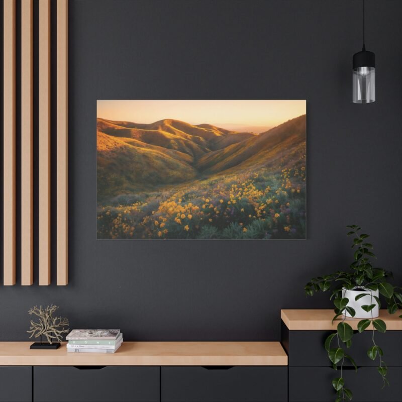 1149. Golden Hour Bliss