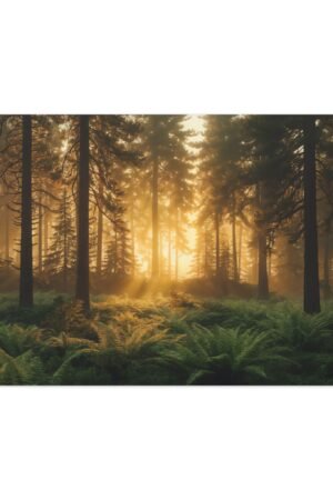 1058. Whispers of Dawn